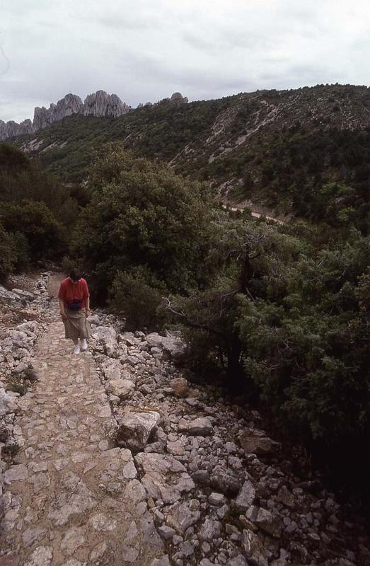 France 99 Belvedere Trail.jpg